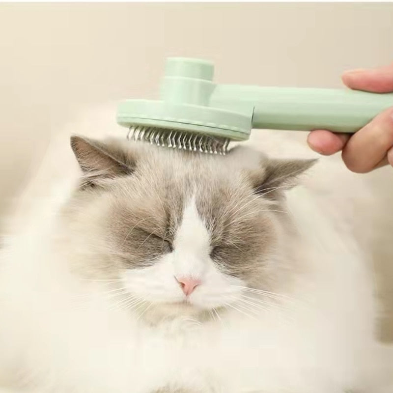 Pet Hair Comb - healthbesidesfit